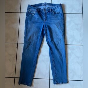 Torrid Premium Stretch Denim Jeans